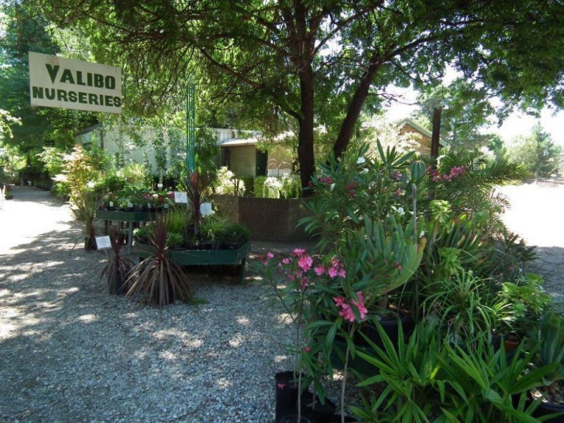 534 Urana Road, Lavington NSW 2641