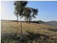 16 Mulberry Court, Lavington NSW 2641