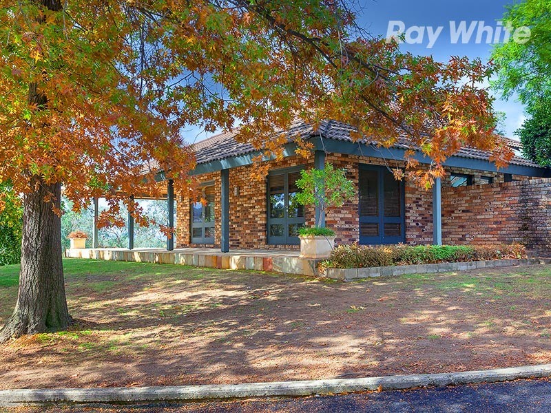 21 Abbott Drive, Lavington NSW 2641