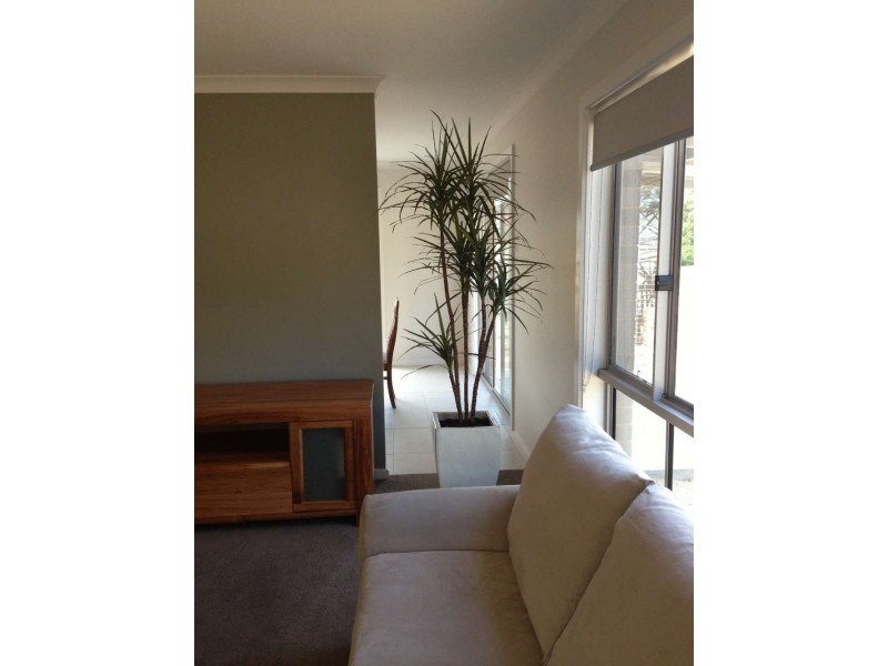 7/9 Donnolley Court, Lavington NSW 2641