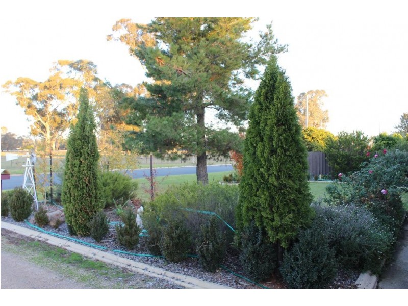 6 Fifield Close, Culcairn NSW 2660