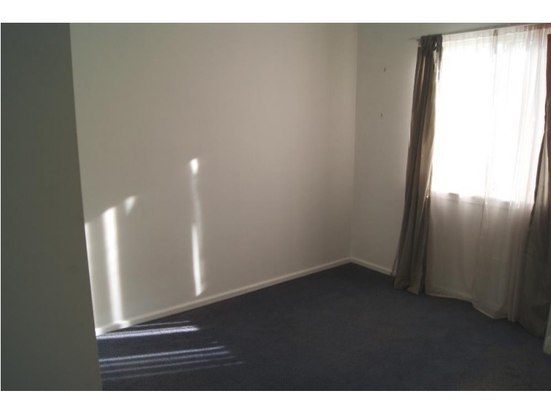 134 Tamarind Street, North Albury NSW 2640