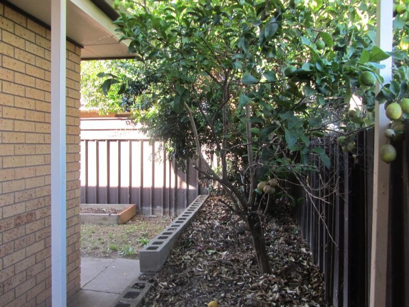 3/559 Kemp Street, Lavington NSW 2641