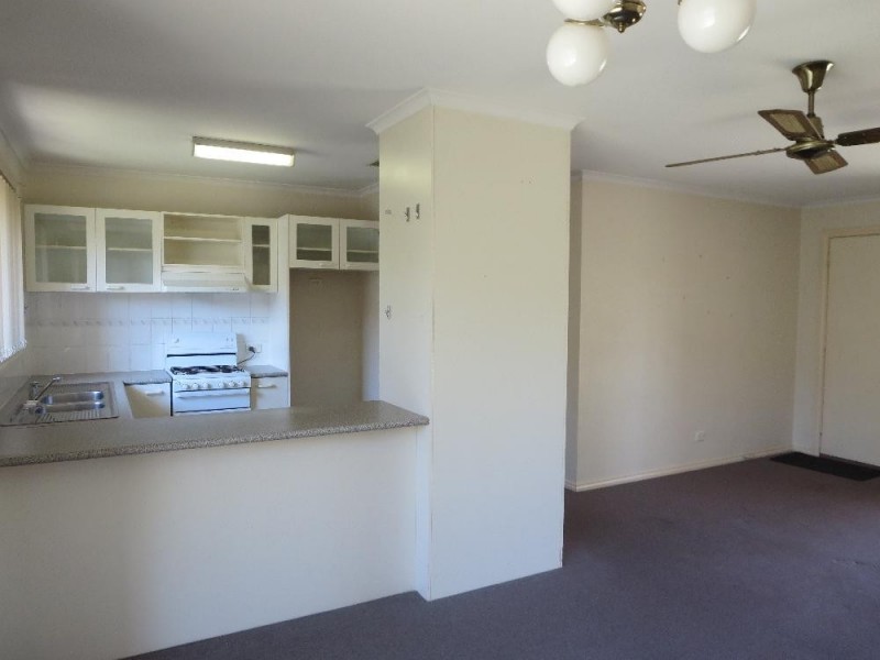 1/3 Rachel Court, Lavington NSW 2641