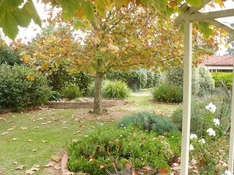 188 Hoddle Street, Howlong NSW 2643