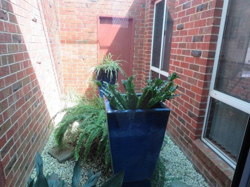 513 Iluka Crescent, Lavington NSW 2641