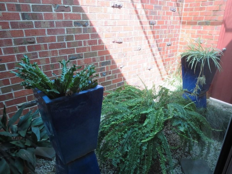 513 Iluka Crescent, Lavington NSW 2641