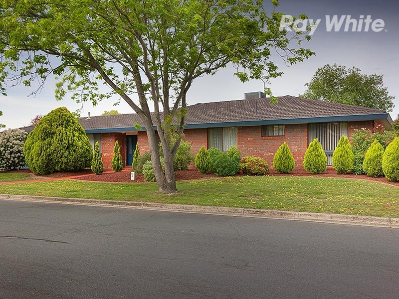 411 Romani Drive, Lavington NSW 2641