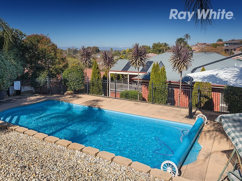 17 Michelle Avenue, Lavington NSW 2641