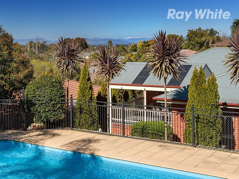 17 Michelle Avenue, Lavington NSW 2641