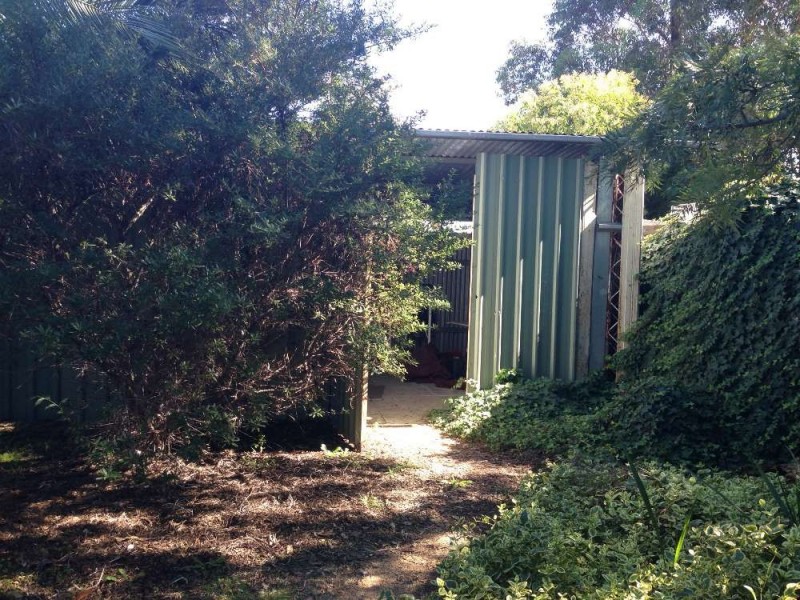 1011 Barooga Street, North Albury NSW 2640