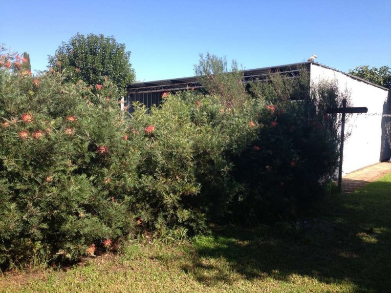 1011 Barooga Street, North Albury NSW 2640