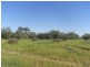 Lot 3 Belmore Street, Howlong NSW 2643