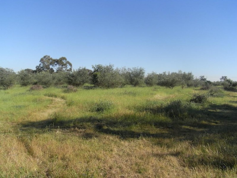Lot 3 Belmore Street, Howlong NSW 2643