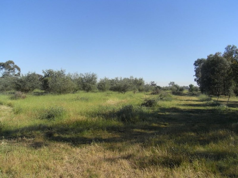 Lot 3 Belmore Street, Howlong NSW 2643