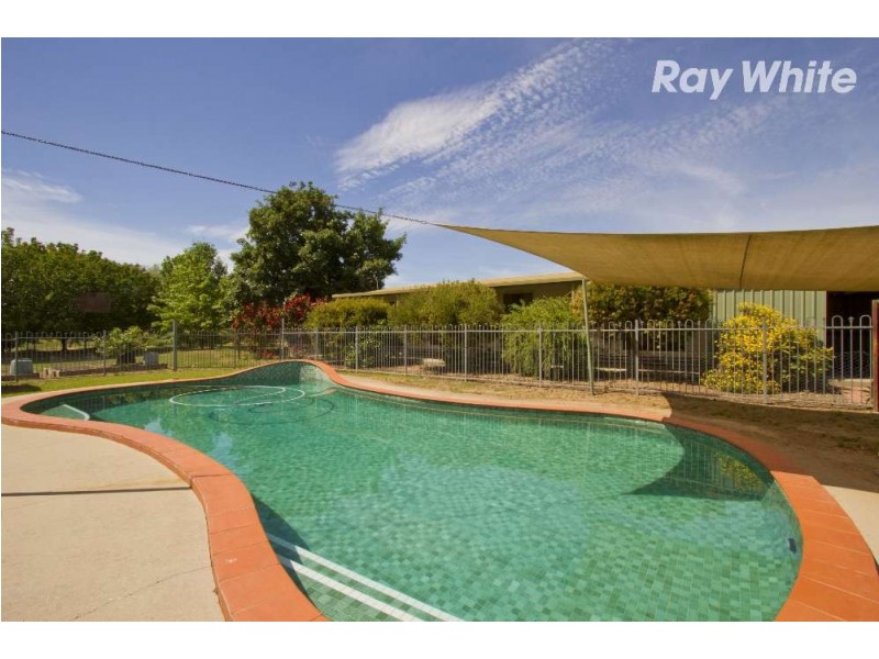149 Pioneer Drive, Jindera NSW 2642