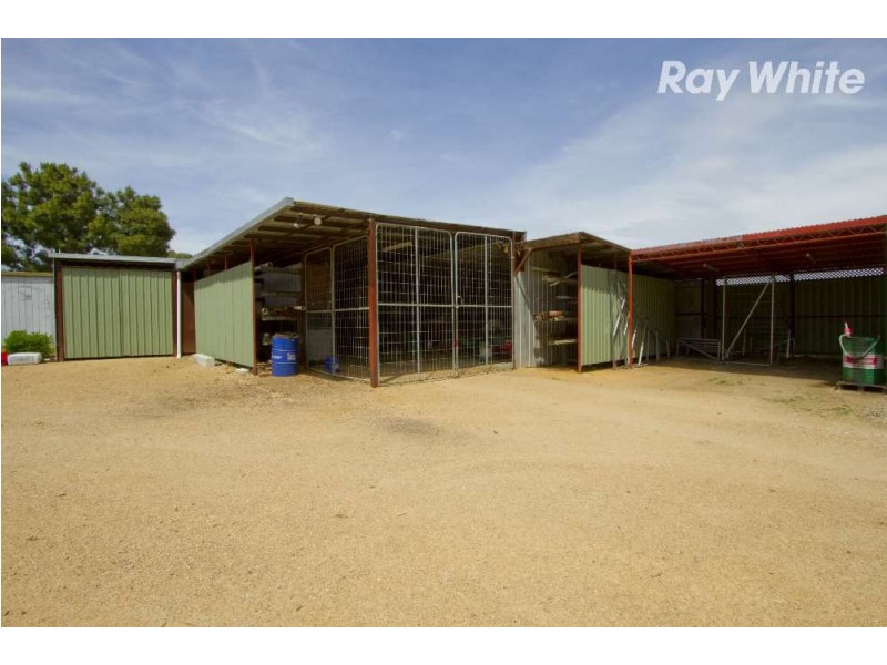 149 Pioneer Drive, Jindera NSW 2642