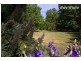 149 Pioneer Drive, Jindera NSW 2642
