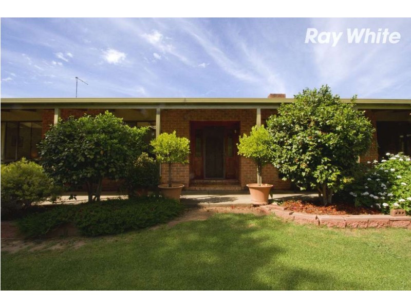 149 Pioneer Drive, Jindera NSW 2642