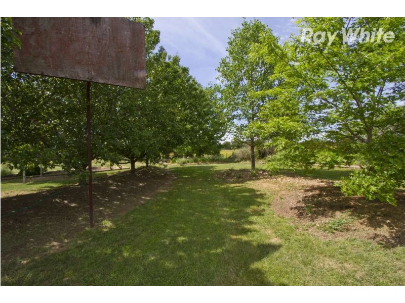 149 Pioneer Drive, Jindera NSW 2642