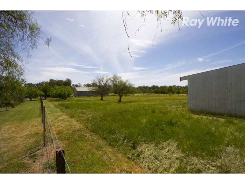 149 Pioneer Drive, Jindera NSW 2642