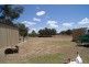 148 Corrys Road, Thurgoona NSW 2640
