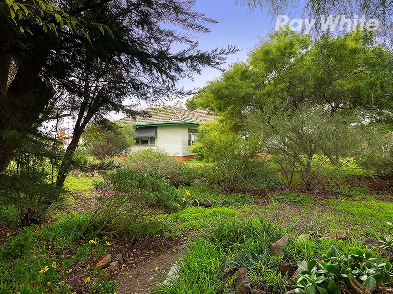 98 Balfour Street, Culcairn NSW 2660