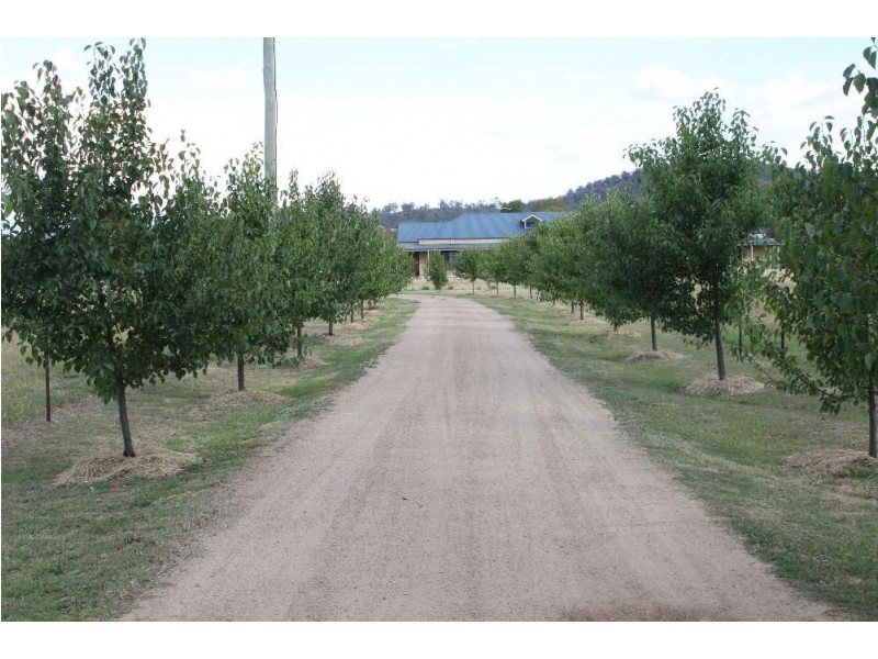 6 Woodswallow Lane, Jindera NSW 2642