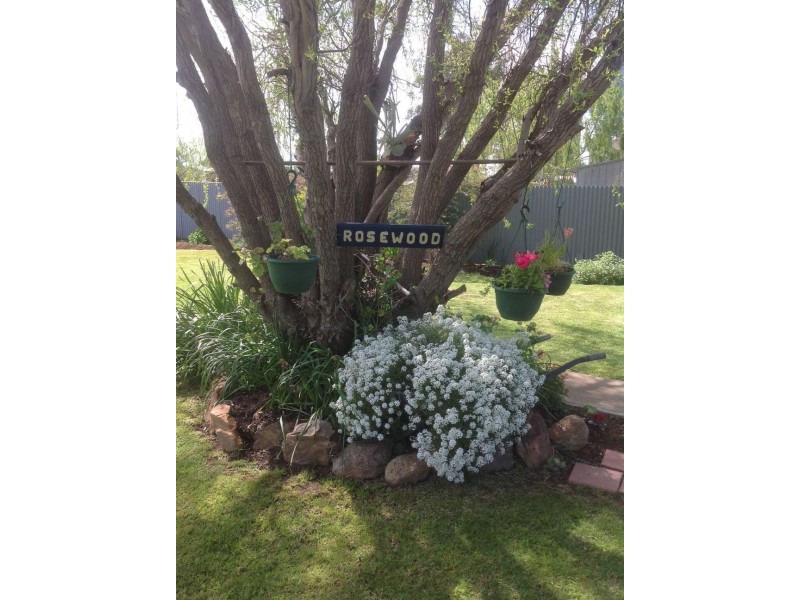 18 Douglas Street, Culcairn NSW 2660