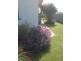 18 Douglas Street, Culcairn NSW 2660