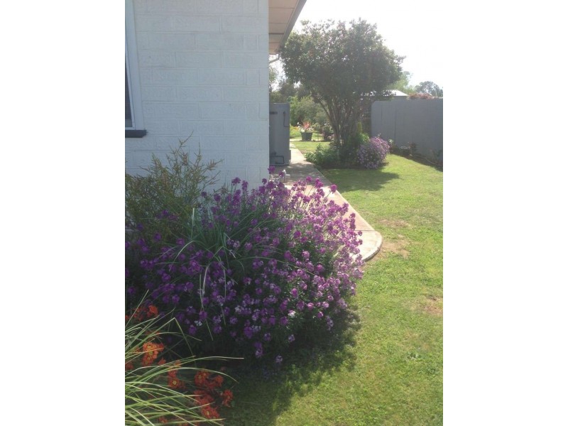 18 Douglas Street, Culcairn NSW 2660