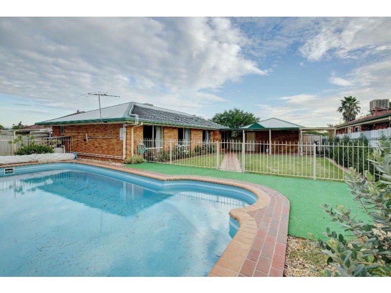 43 Saville Avenue, Lavington NSW 2641