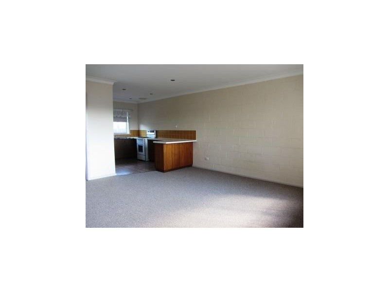 3/451 Rose Street, Lavington NSW 2641