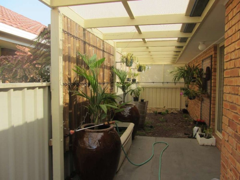 43 Saville Avenue, Lavington NSW 2641