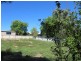 443 Percy Street, East Albury NSW 2640