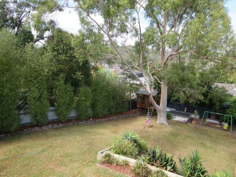 213 Mount Street, East Albury NSW 2640