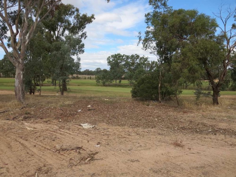 123 Pickworth Street, Thurgoona NSW 2640