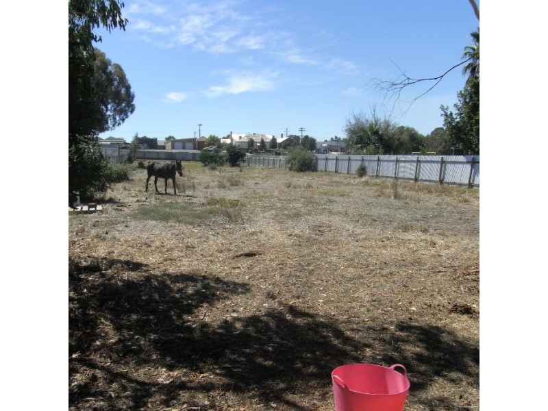 55 Russell Street, Howlong NSW 2643