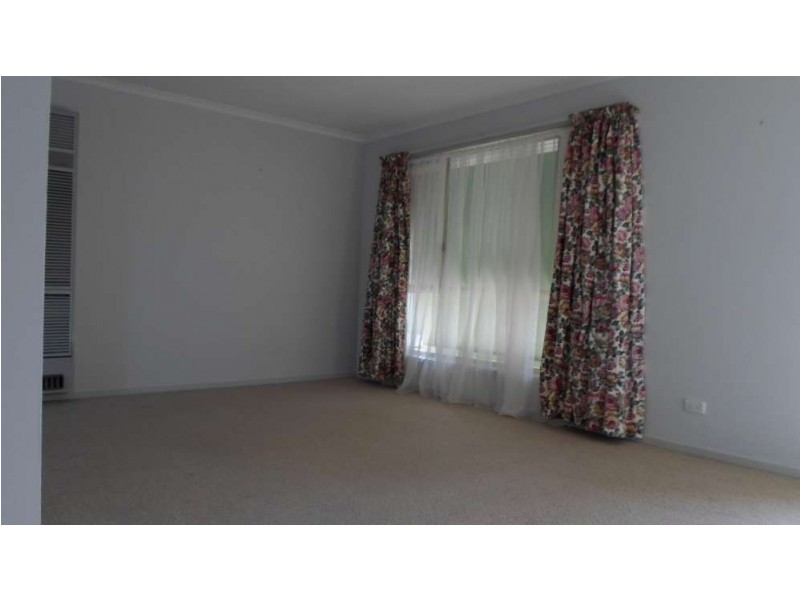 1/34 Saville Avenue, Lavington NSW 2641