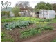 10 (Lots18and19) Fraser Street, Culcairn NSW 2660