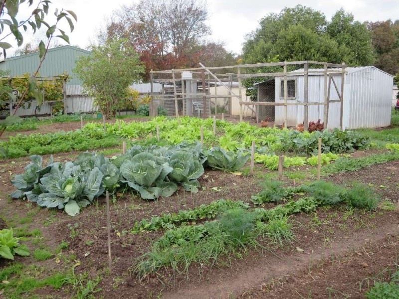 10 (Lots18and19) Fraser Street, Culcairn NSW 2660