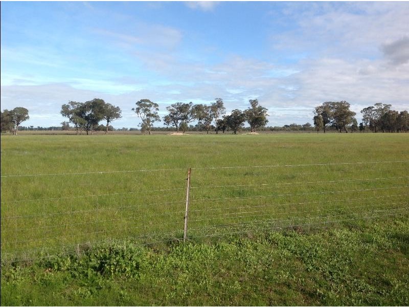 1009 ‘Burnside’Balldale Road, Balldale NSW 2646