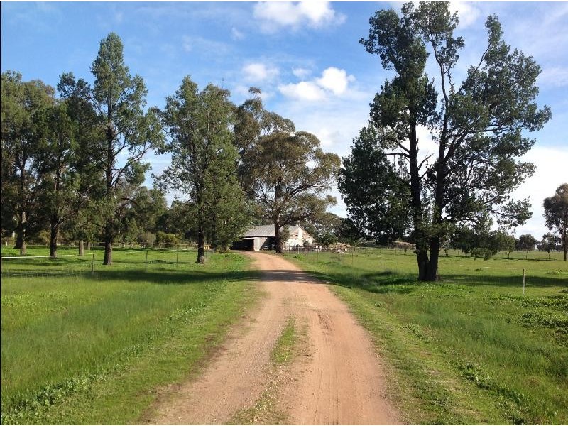 1009 ‘Burnside’Balldale Road, Balldale NSW 2646