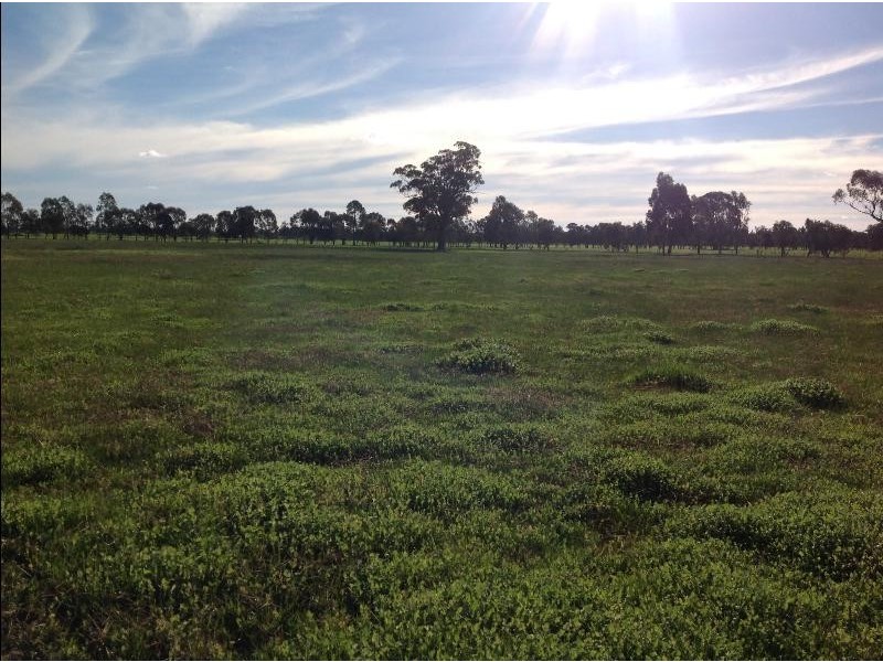 1009 ‘Burnside’Balldale Road, Balldale NSW 2646