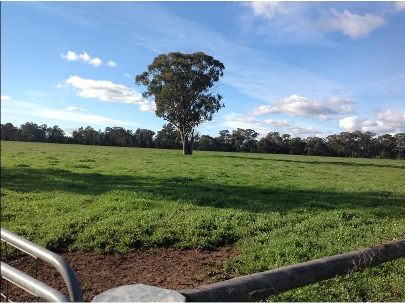 1009 ‘Burnside’Balldale Road, Balldale NSW 2646