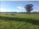 1009 ‘Burnside’Balldale Road, Balldale NSW 2646