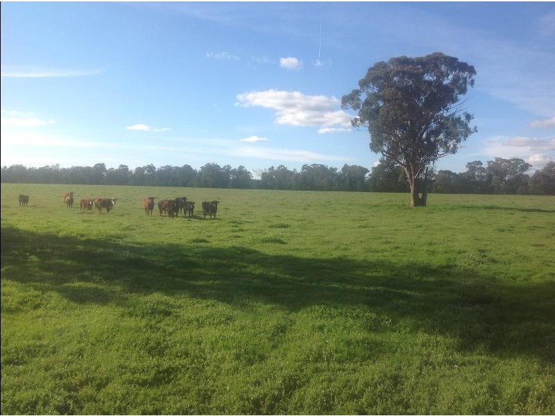 1009 ‘Burnside’Balldale Road, Balldale NSW 2646