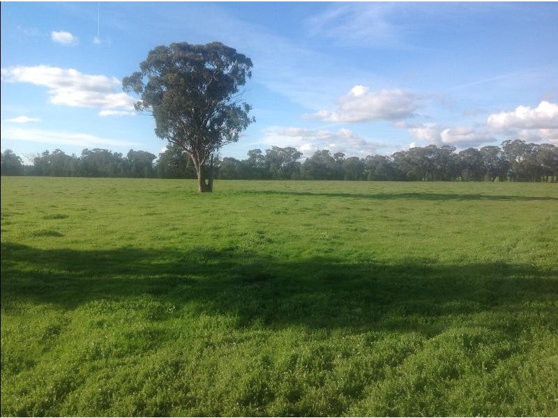 1009 ‘Burnside’Balldale Road, Balldale NSW 2646