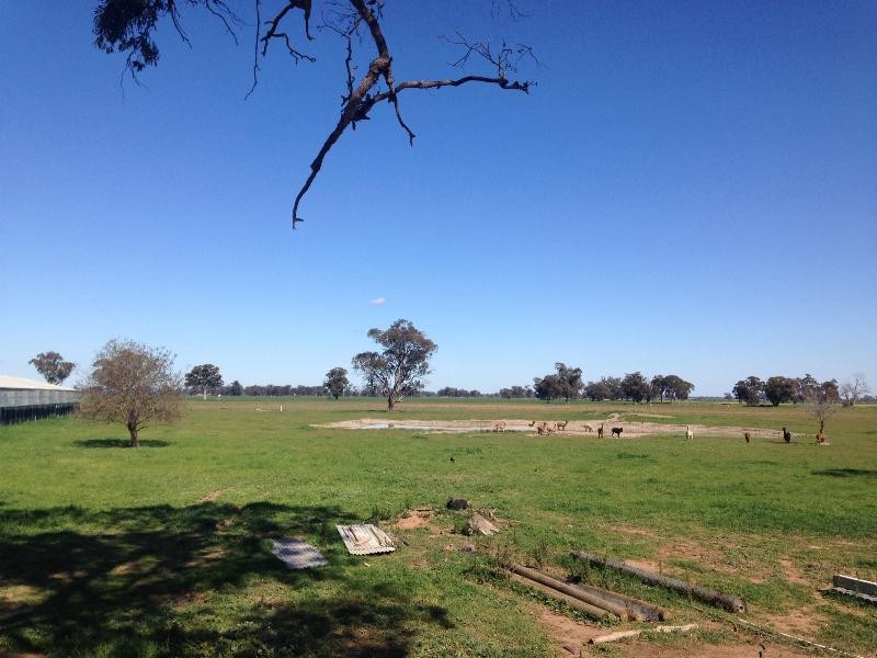 31 Orana Rd, Howlong NSW 2643