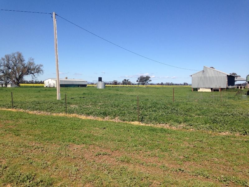 31 Orana Rd, Howlong NSW 2643